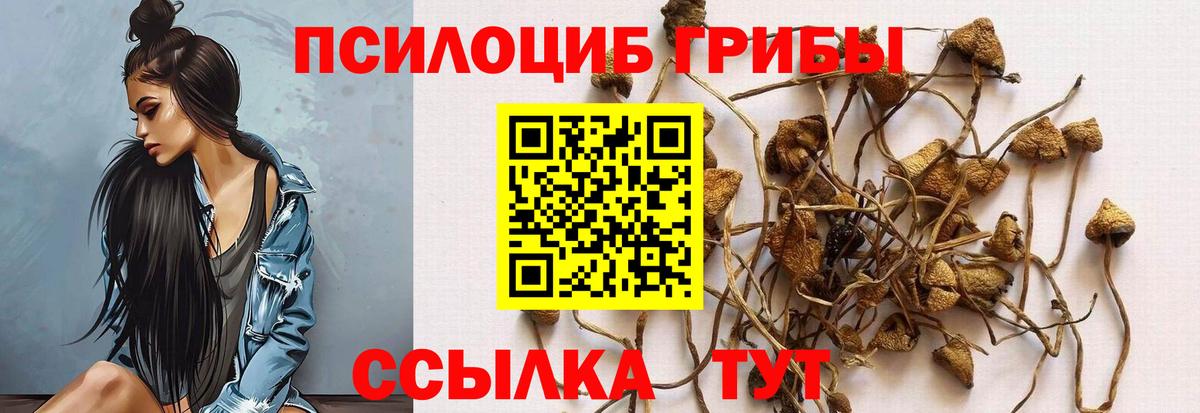 Оренбург  Галлюциногенные грибы прущие грибы  закладки  Вход с VPN  Галлюциногенные грибы Magic Shrooms 